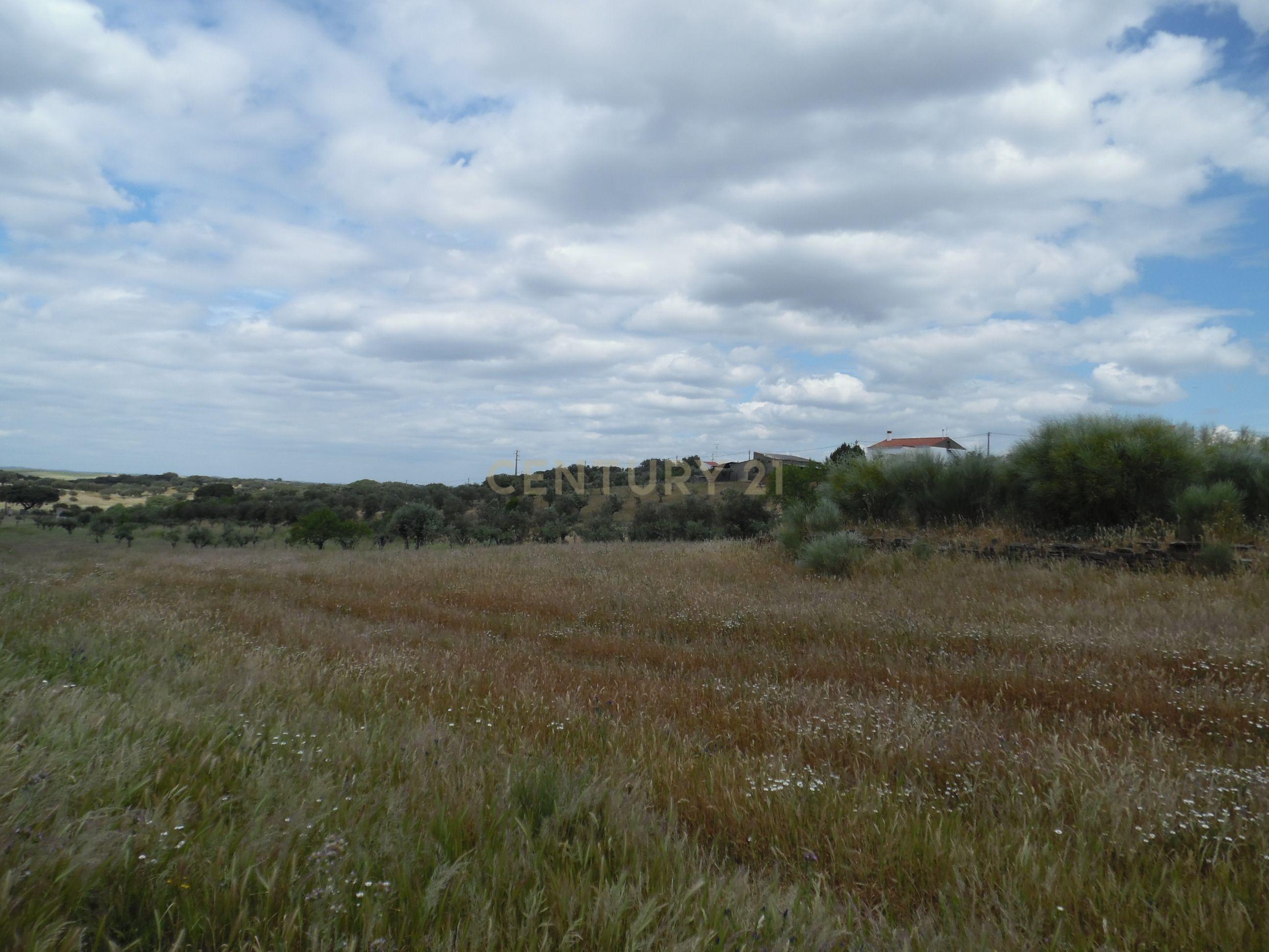 Moradia T3 à venda em Capelins (Santo António), Alandroal — foto 32