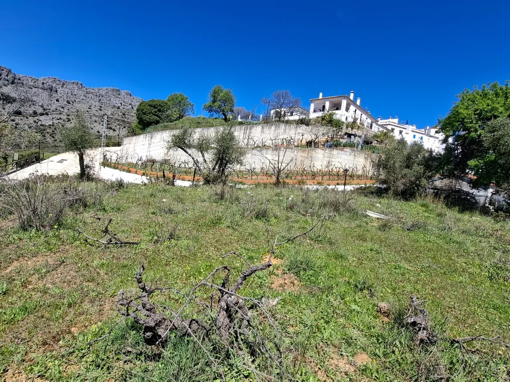 Moradia geminada de gaveto, com orientação sul, vistas para a montanha e duas propriedades rústicas com oliveiras, vinhas e castanheiros, no coração do Alto Genal. - Image 25