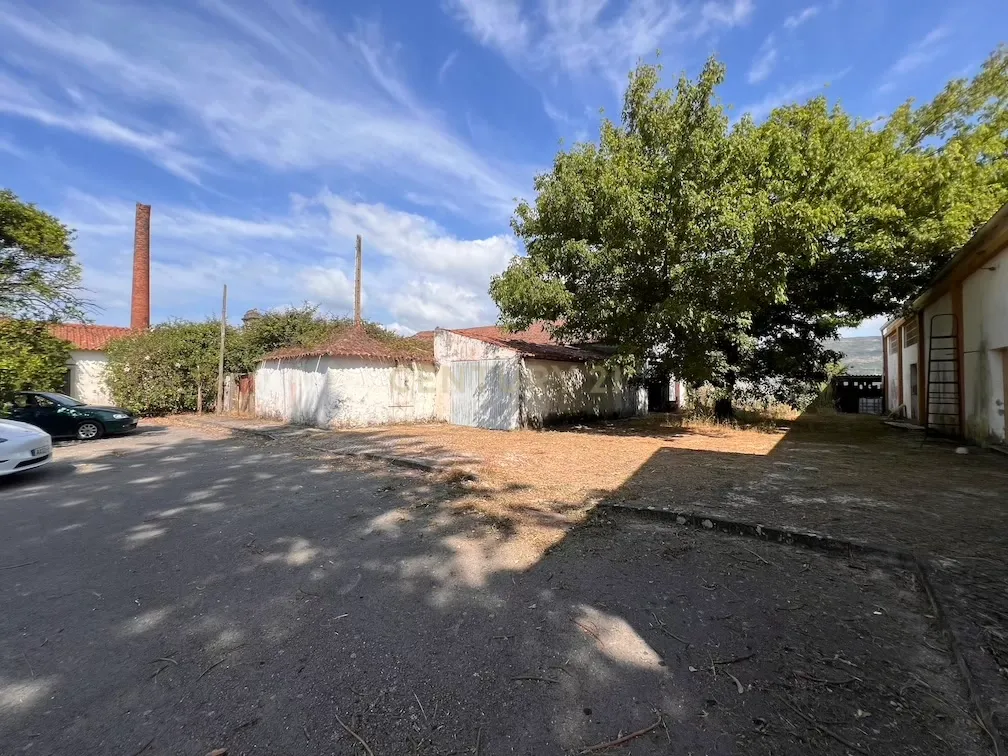 Pavilhão com grande potencial industrial/comercial junto à estrada principal em Albergaria – Juncal - Image 25