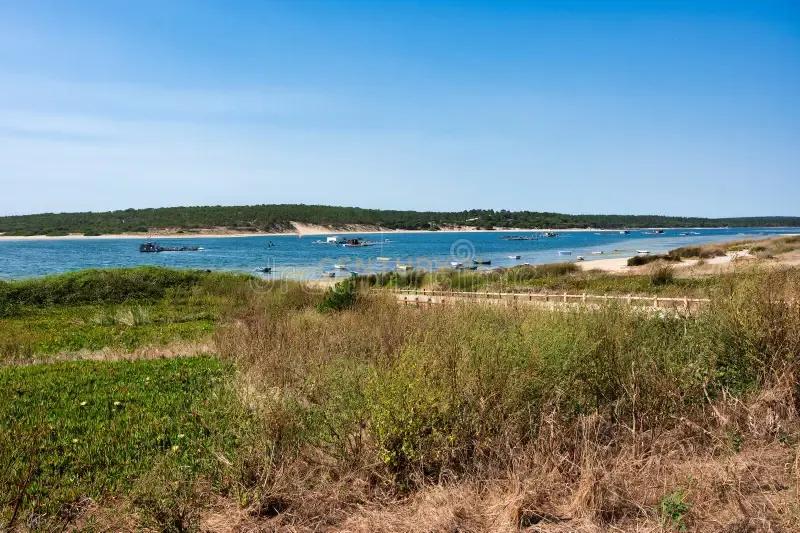Terreno na Lagoa de Albufeira com 204m2 - Image 11