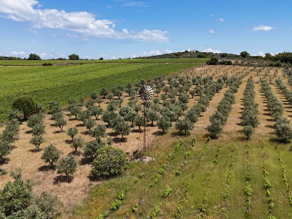 Quinta T3+3 com 4 HA em Borba – Natureza, Produção Agrícola e Conforto - Image 27