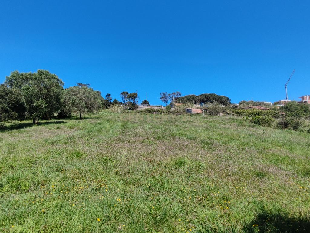 Terreno na Nazaré - Image 16
