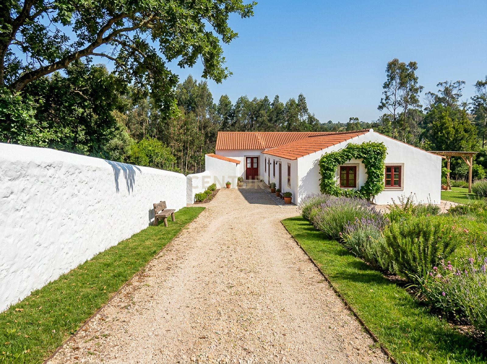 Fotografia 3 de Armazém em Algueirão Mem Martins, Sintra