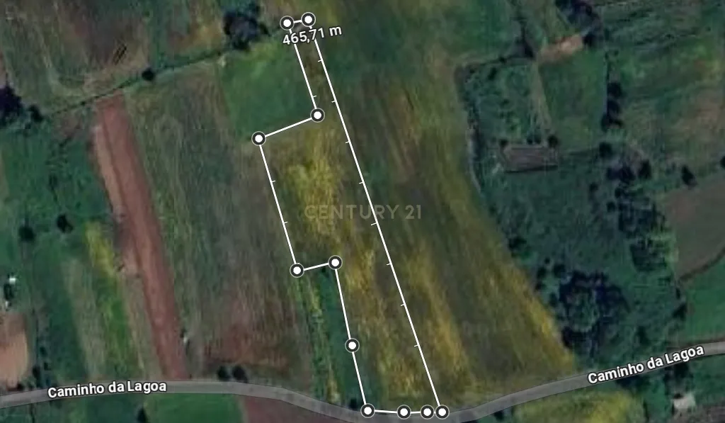 Terreno Agrícola plano, com 4.900m², em Curvos - Image 16