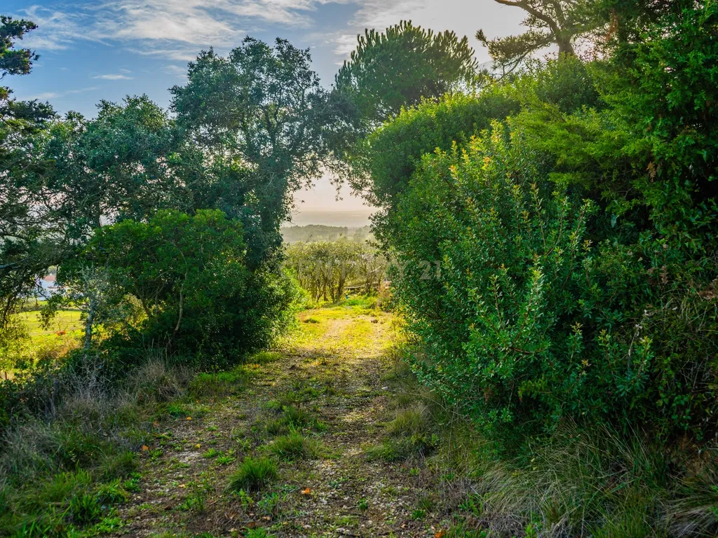 Terreno na Nazaré - Image 14