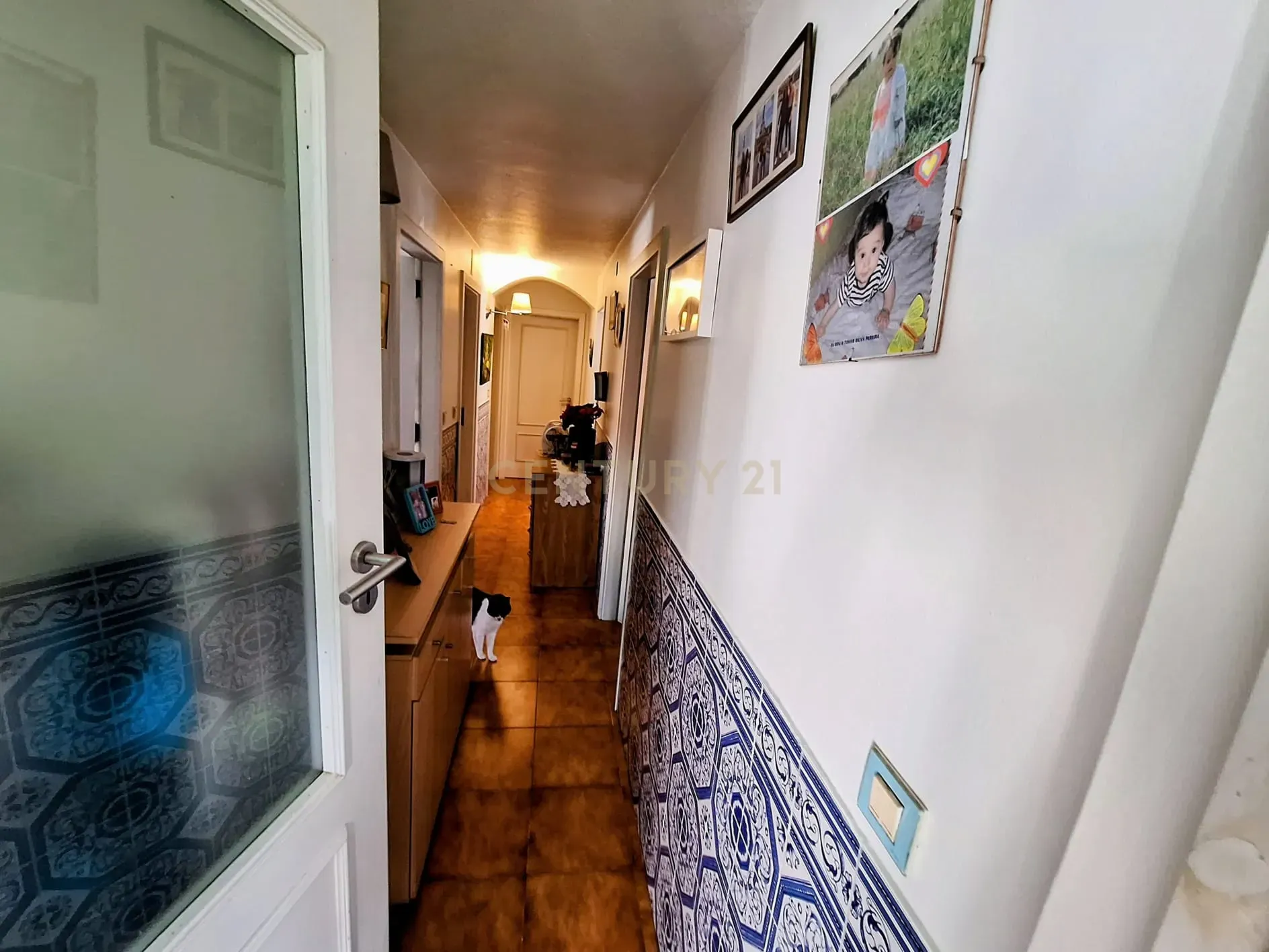 Fotografia 7 de 3 Moradias com terreno de 1079m2(não inclui a área de implantação das moradias)