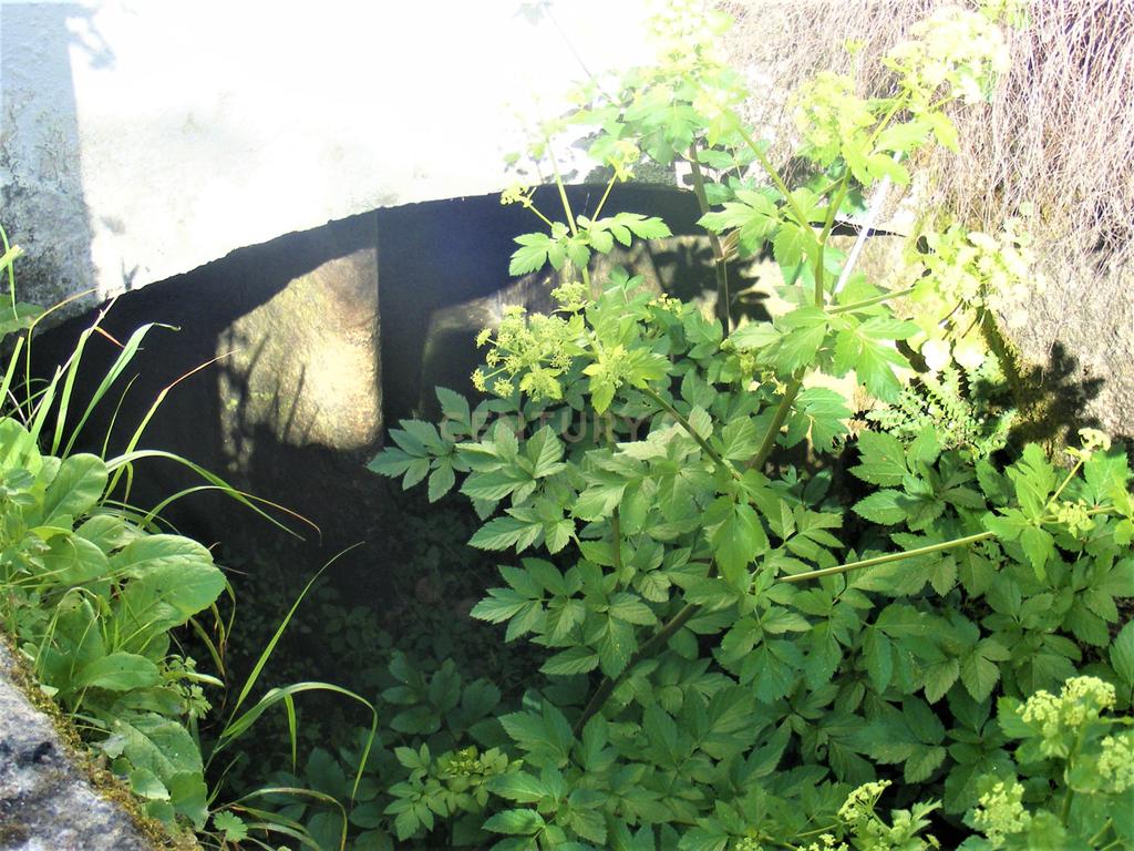 Quinta Típica Alentejana, Licença de Turismo Rural, Arrendamento, Arraiolos - Image 63