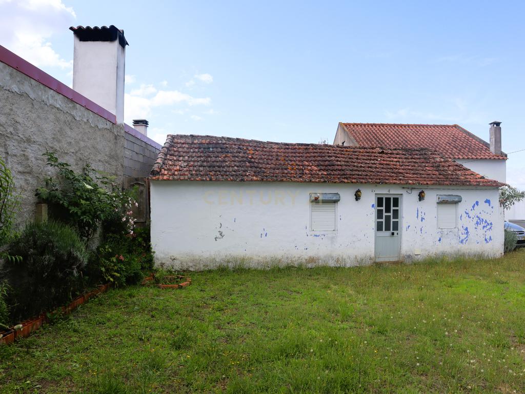 Moradia com Terreno para Venda – Carregueira (Chamusca) , Terreno: 2.120 m² | Moradia com potencial | Árvores de fruto | Água de poço - Image 8