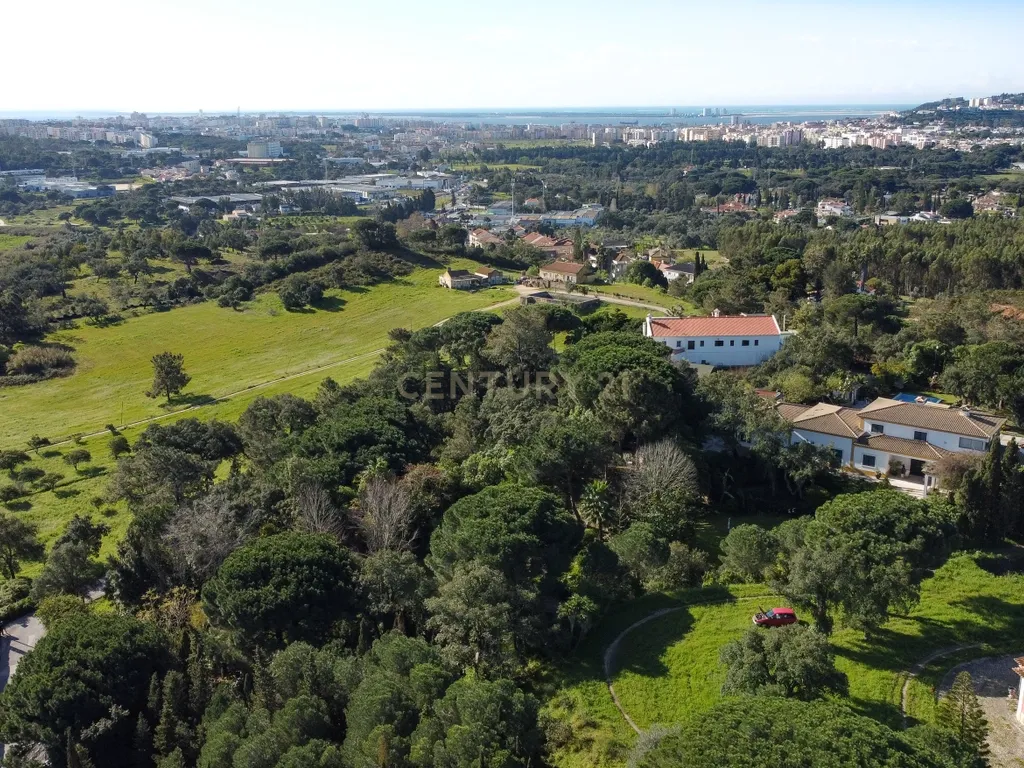 🏡 Terreno para Construção – 2.746 m² | Oportunidade Única Perto de Setúbal! 🌿 - Image 43