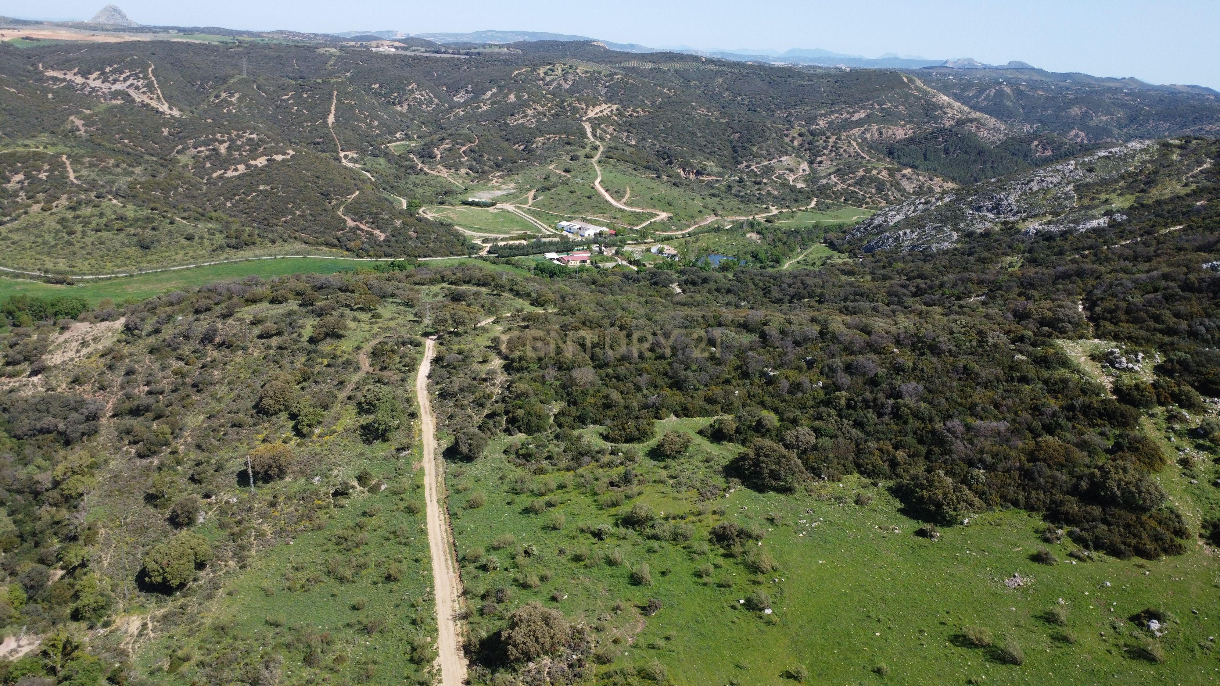 VENDA DE PROPRIEDADE RÚSTICA EM ANTEQUERA COM EXPLORAÇÃO DE AGROTURISMO - Image 103