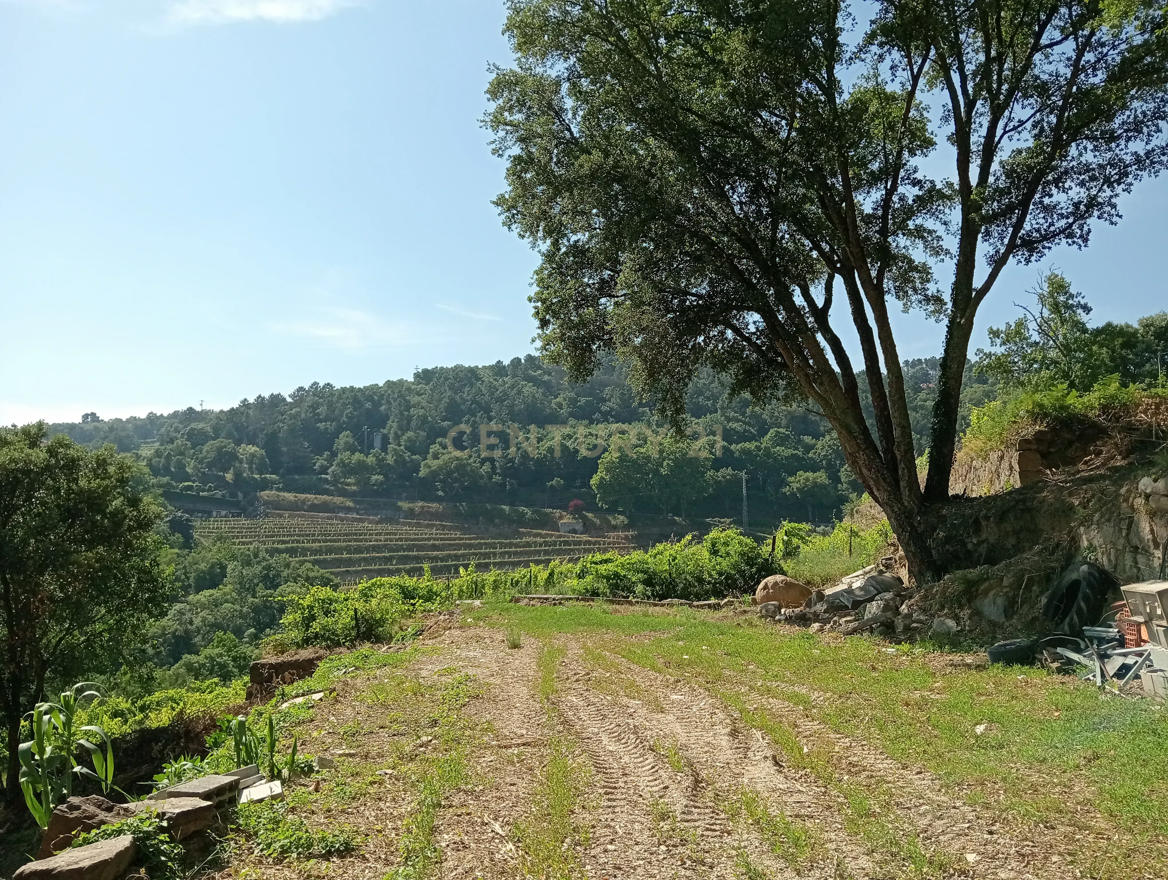 Moradia T2 à venda em Frende, Baião — foto 18