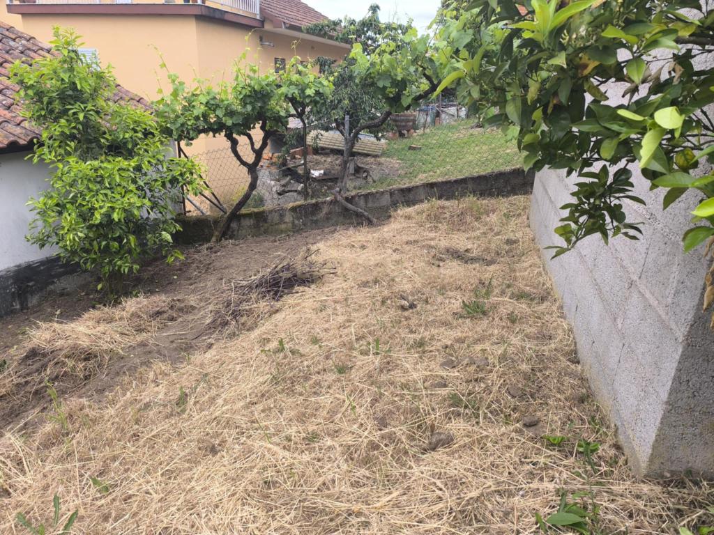 Casas prontas a habitar com terreno, arvores de fruto, forno e água própria. - Image 18