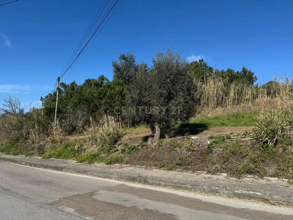 Terreno Panorâmico em Pombal - 1020m² por 34.500€ - Image 10