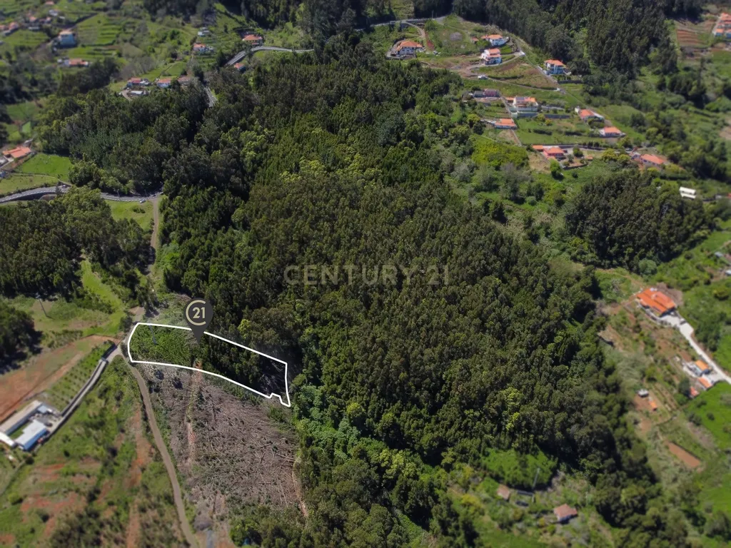 Terreno com Vista Mar e Viabilidade de Construção para Habitação Própria em Gaula - Image 12