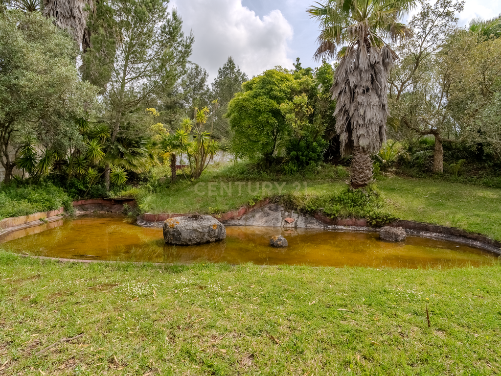 Quinta do Penedo – Runa Torres Vedras - Um Tesouro do Século XVIII com Projeto Turístico Aprovado - Image 39