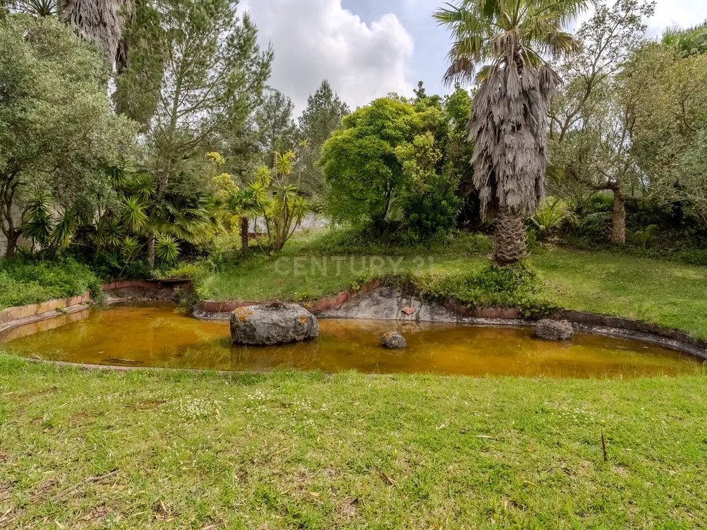 Quinta do Penedo – Runa Torres Vedras - Um Tesouro do Século XVIII com Projeto Turístico Aprovado - Image 39