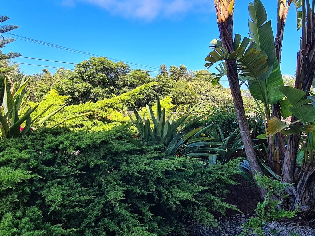  Country House em São Miguel, Açores: Refúgio Privado de Charme com piscina e quinta - Image 12