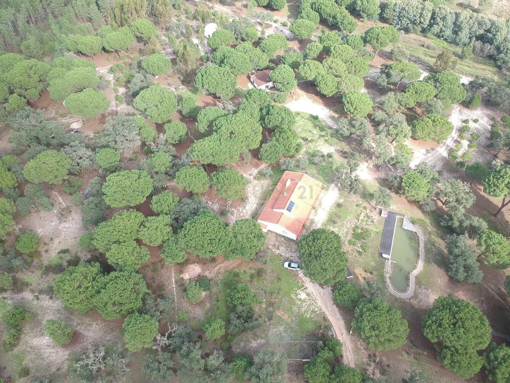 Quinta a 1 hora de Lisboa - Cortiçadas de Lavre - Próximo novo Aeroporto!!! - Image 6