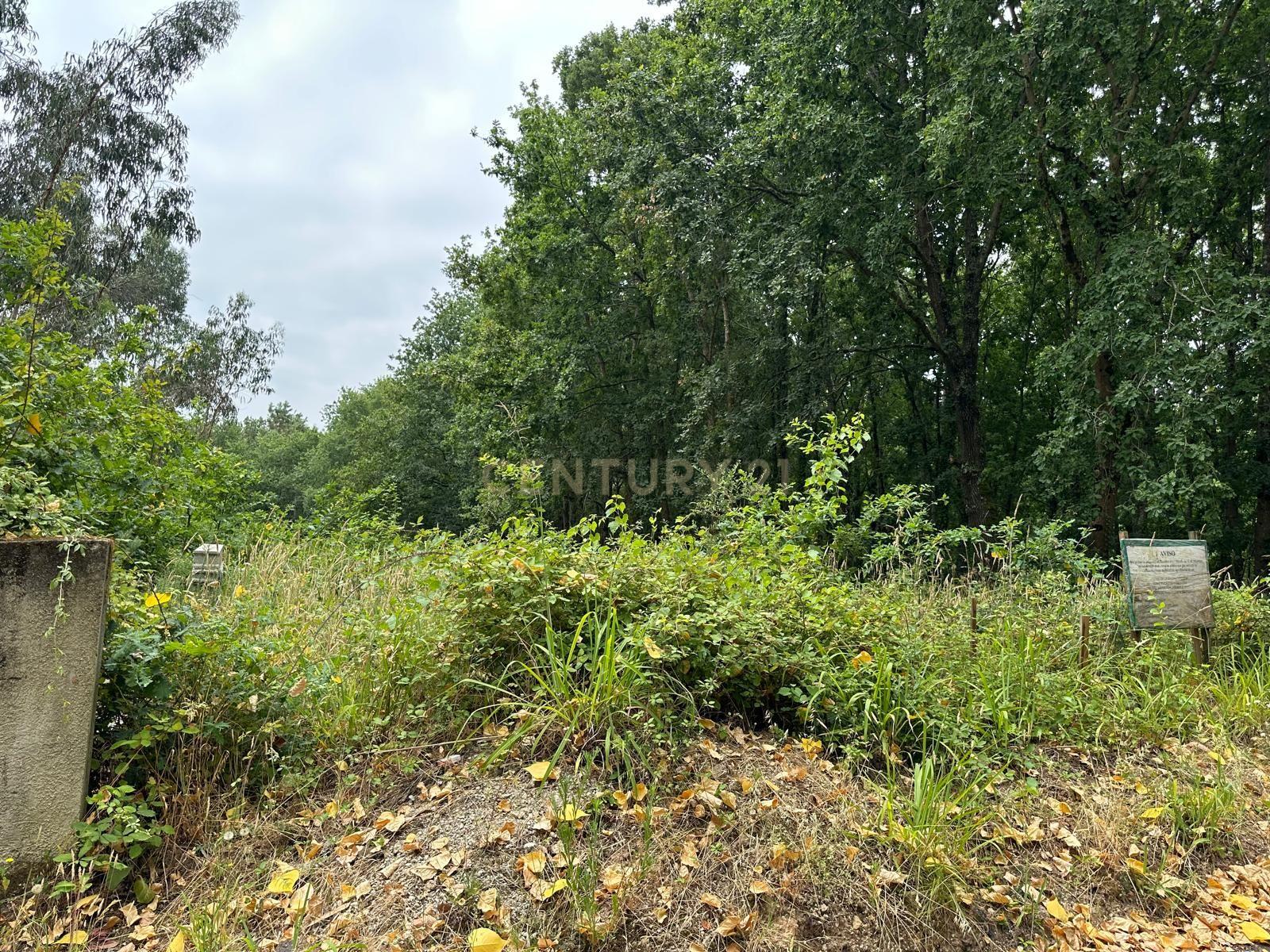 Fotografia 4 de Terreno Urbano com Projeto de Construção Aprovado em Barrô, Águeda - 1018m² para Construção