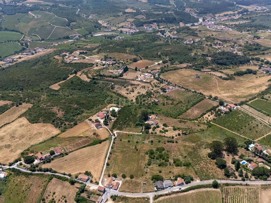 Oportunidade Única de Investimento em Terreno com Potencial Agrícola e Urbanizável – Canhestro 14.960 m². - Image 9