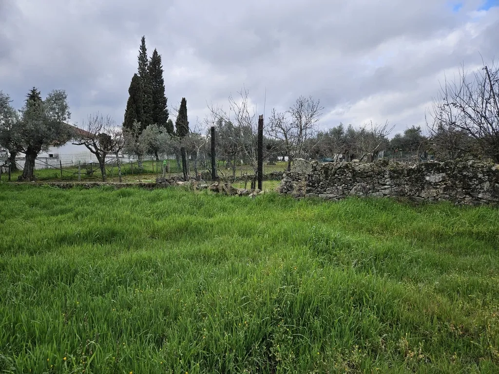 Quintinha na Lousa, Castelo Branco - Image 2