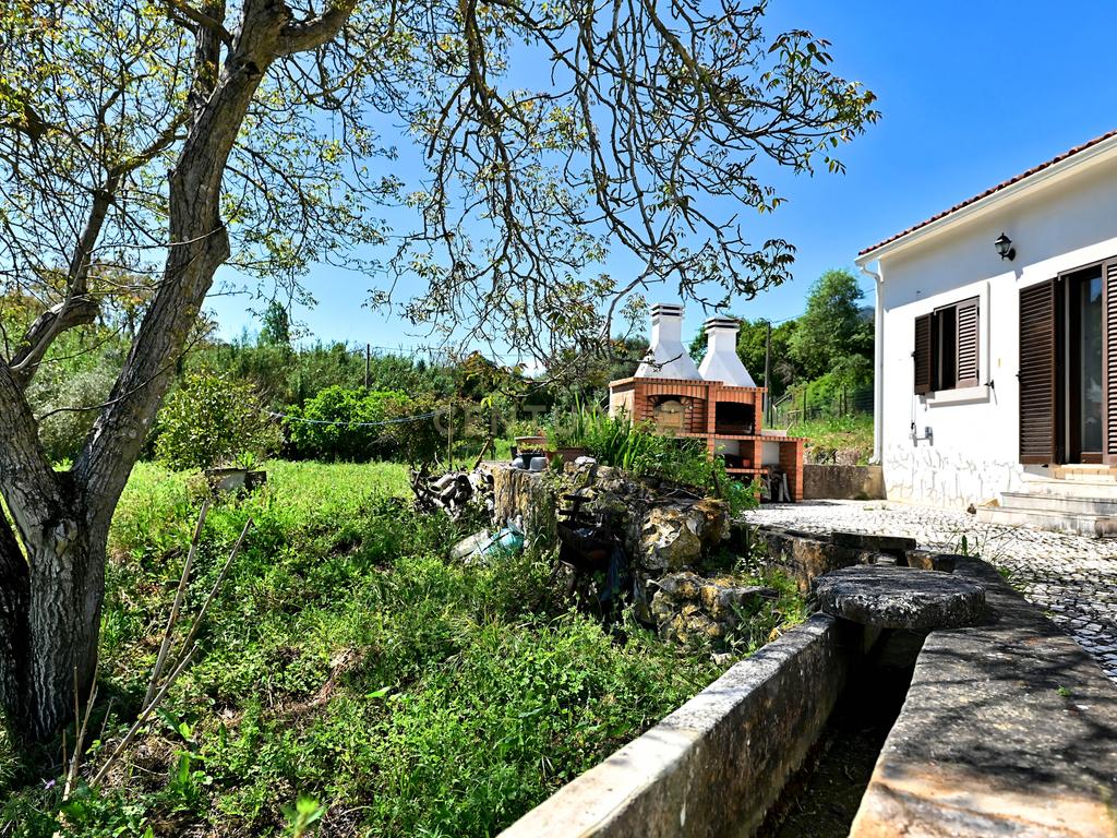 Bela Casa de Campo em Santarém  - Image 23