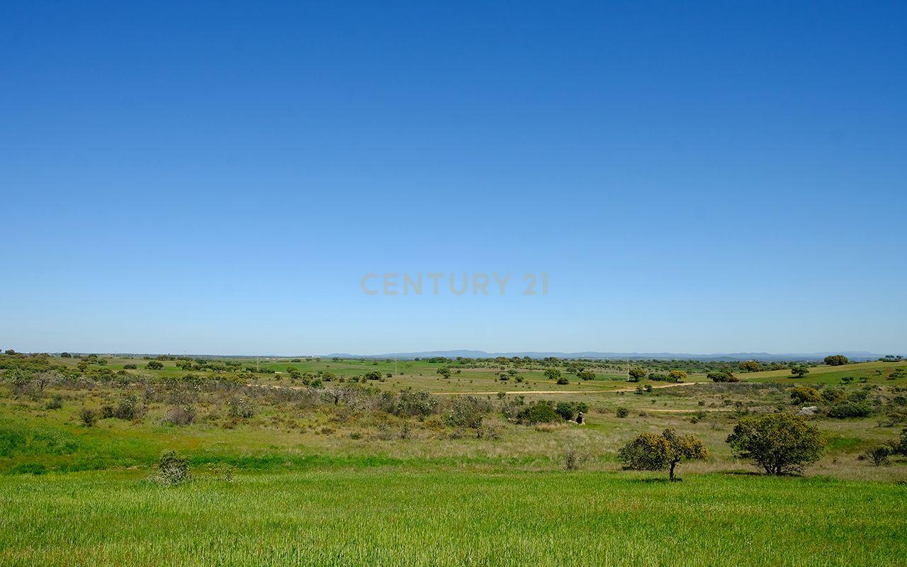 Fotografia 10 de Terreno Misto em Monsaraz, Reguengos de Monsaraz