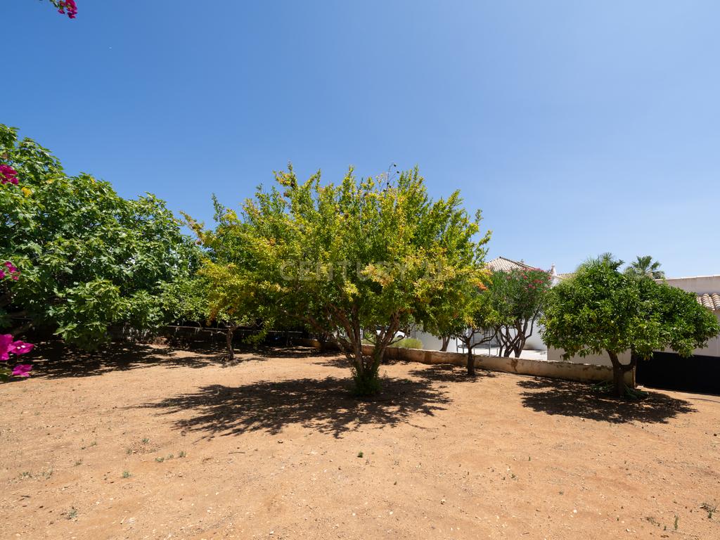 Villa em Belmonte  (Luxo) - Image 61