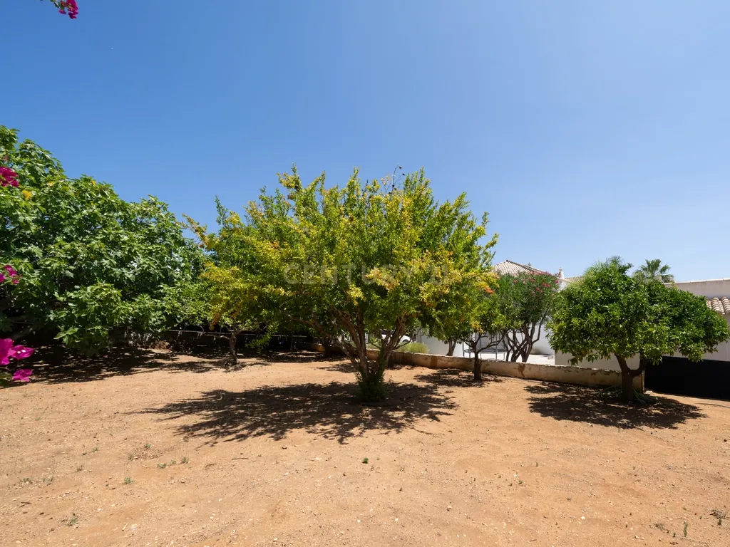 Villa em Belmonte (Luxo) - Image 61