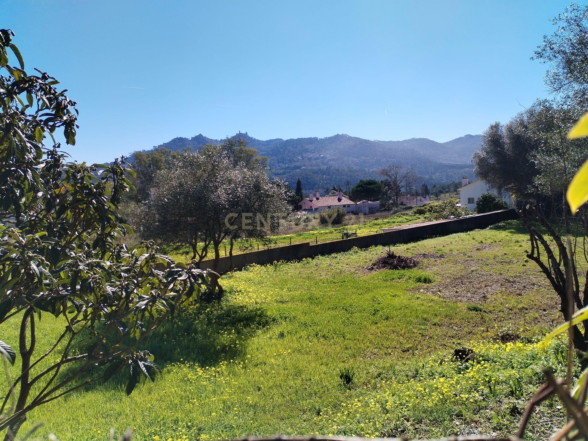 Fotografia 6 de Terreno Urbano com Alvará de Loteamento | Lugar do Carrascal, Sintra
