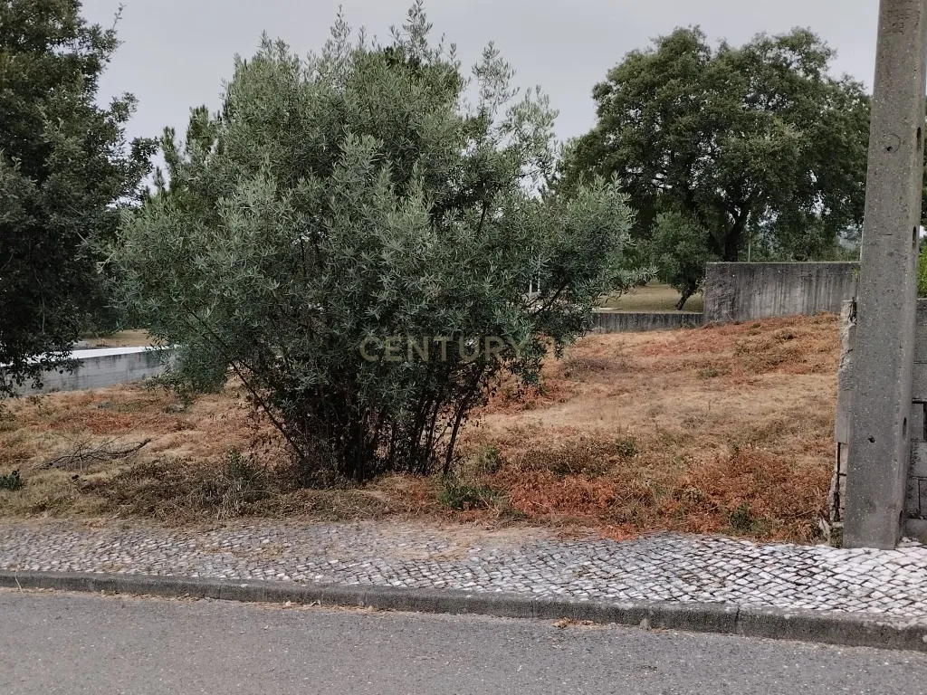 Lote para construção de moradia individual em Pombal - Image 1