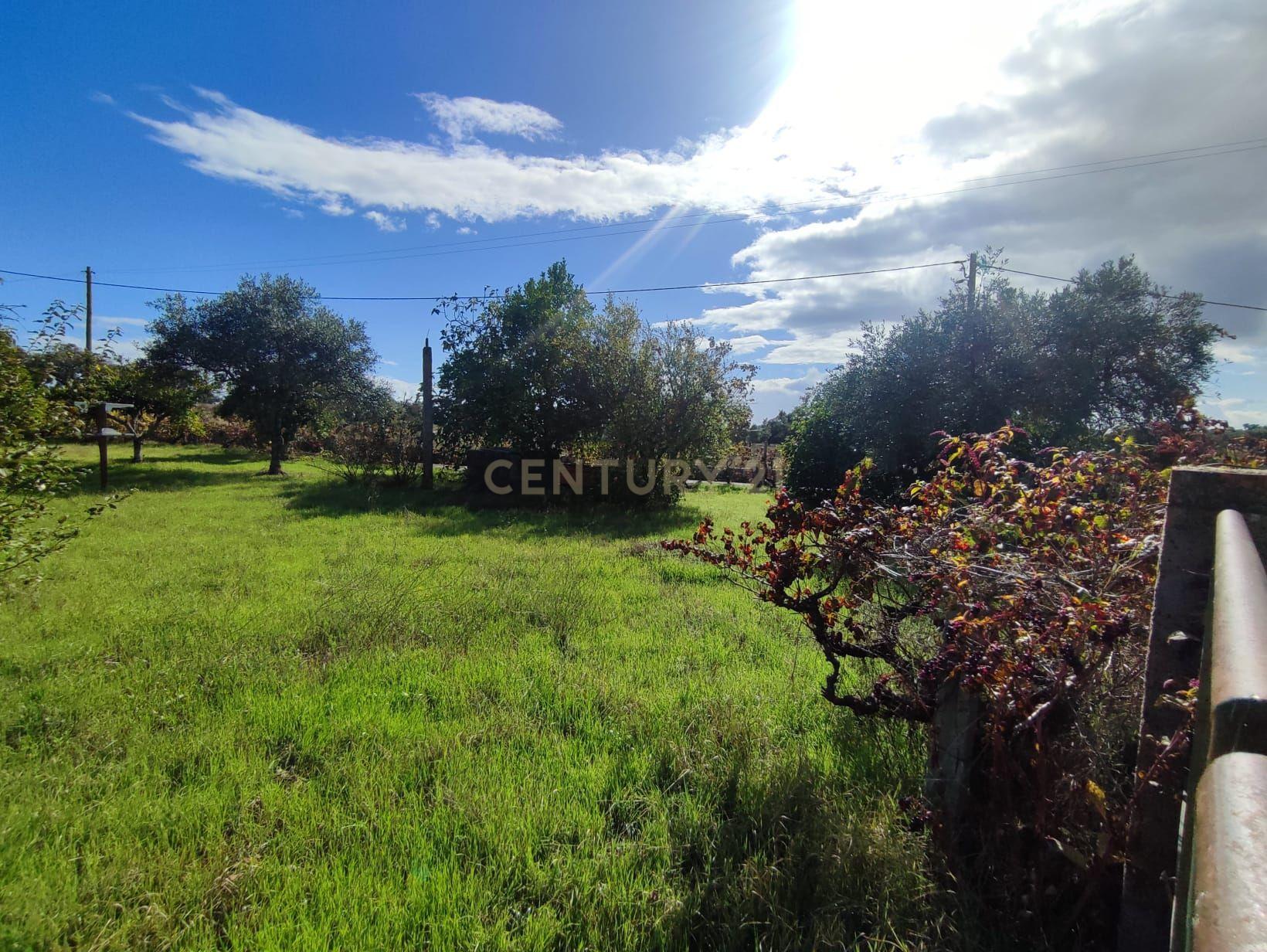 Terreno Urbano, Tinalhas, Castelo Branco - Image 3