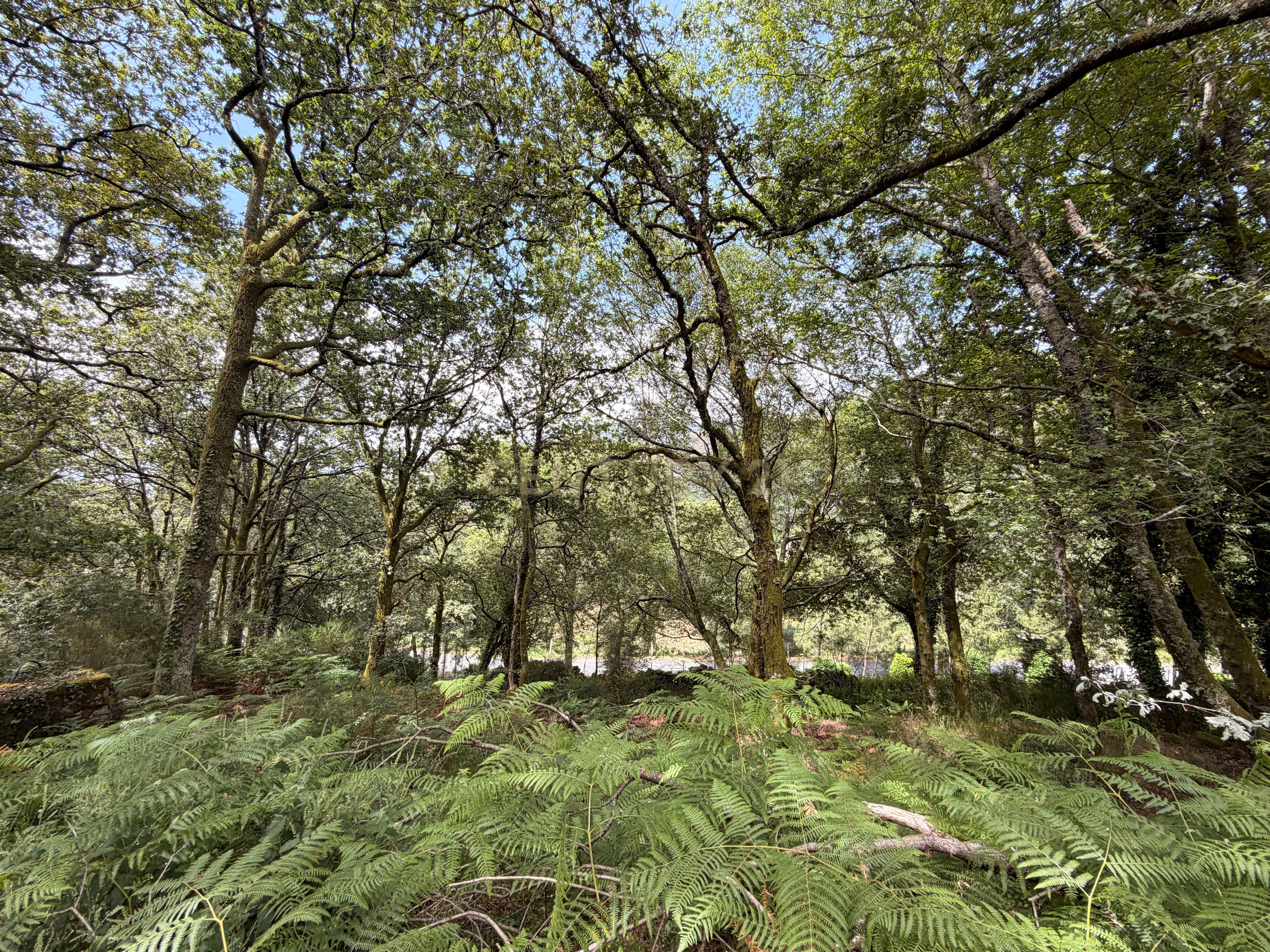 Moradia T1 à venda em Soajo, Arcos de Valdevez — foto 14