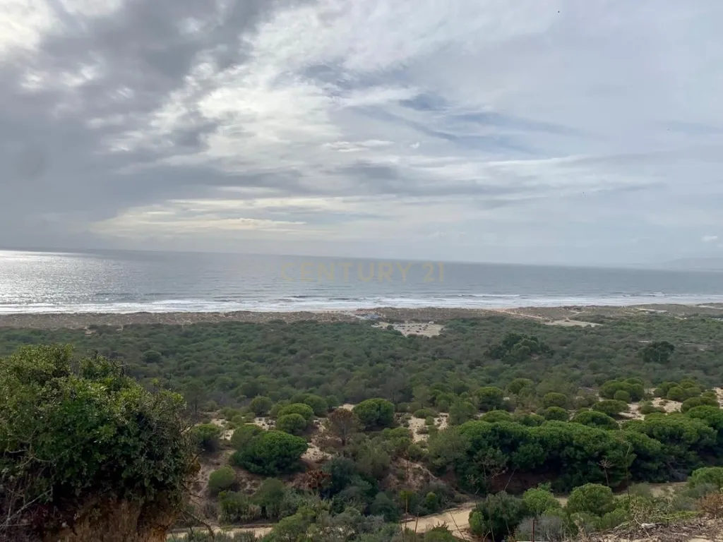 Terreno Urbano com 310 m2 na Charneca de Caparica - Image 13