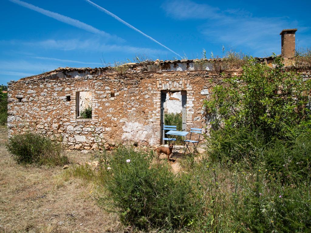 Terreno com Potencial de Construção em Falfosa – Santa Bárbara de Nexe, Faro - Image 31