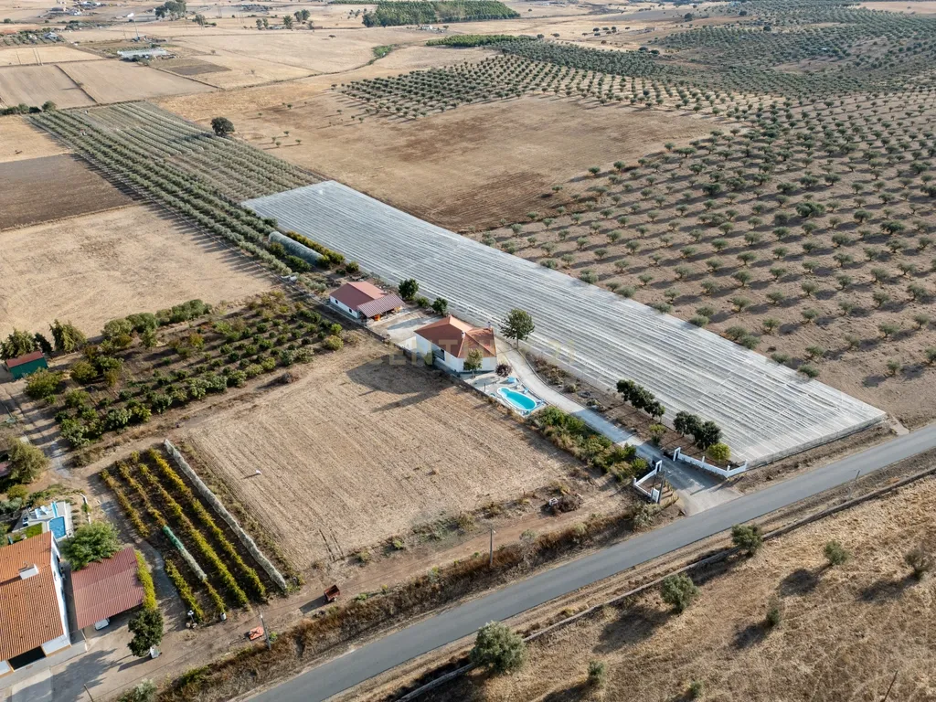 🌿 Quinta com Moradia T4 e Piscina | 3,25 hectares| Olival | Vinha| Amareleja, Alentejo - Image 7