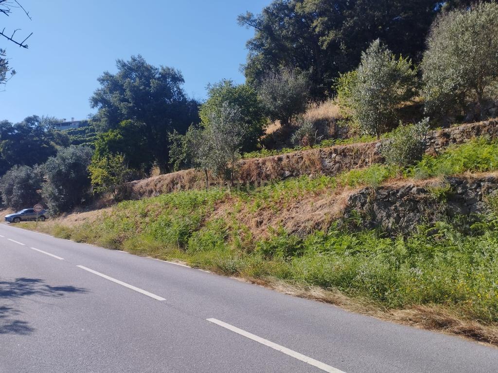 Moradia em ruina repleta de belas histórias, para reconstruir, no coração do Douro em Frende, Baião - Image 54
