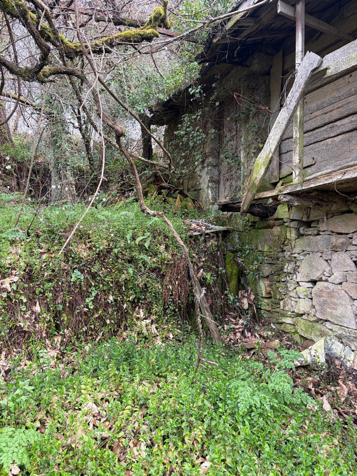 Fotografia 6 de Casa em ruínas + Terreno 2000 m² | Lourosa de Matos (Urrô)