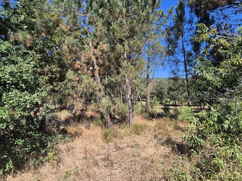 Terreno para Construção em Pombal, Leiria - Oportunidade Única! - Image 19