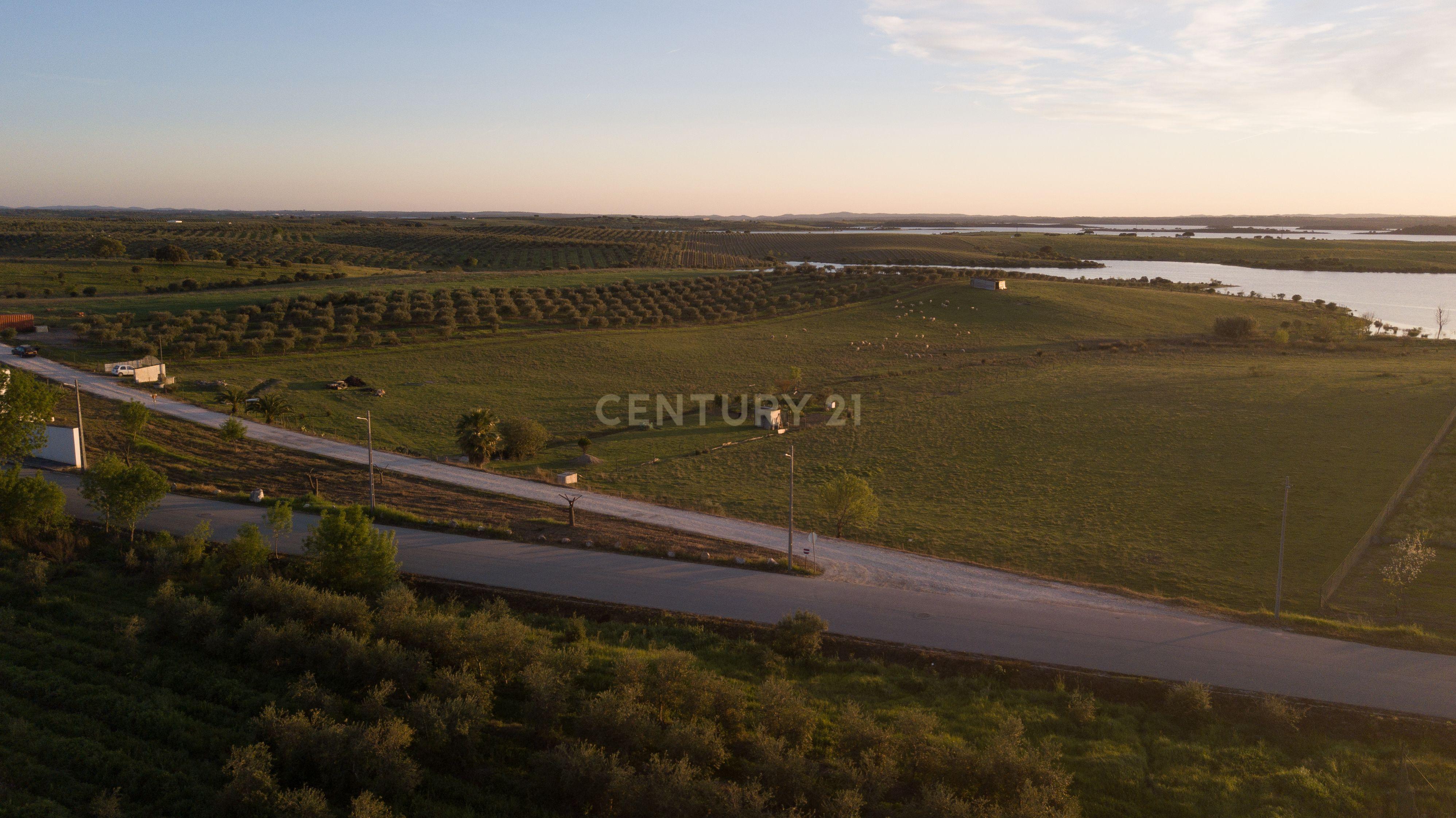 Fotografia 6 de Terreno Rústico com Vista Privilegiada para o Alqueva - Luz, Alentejo