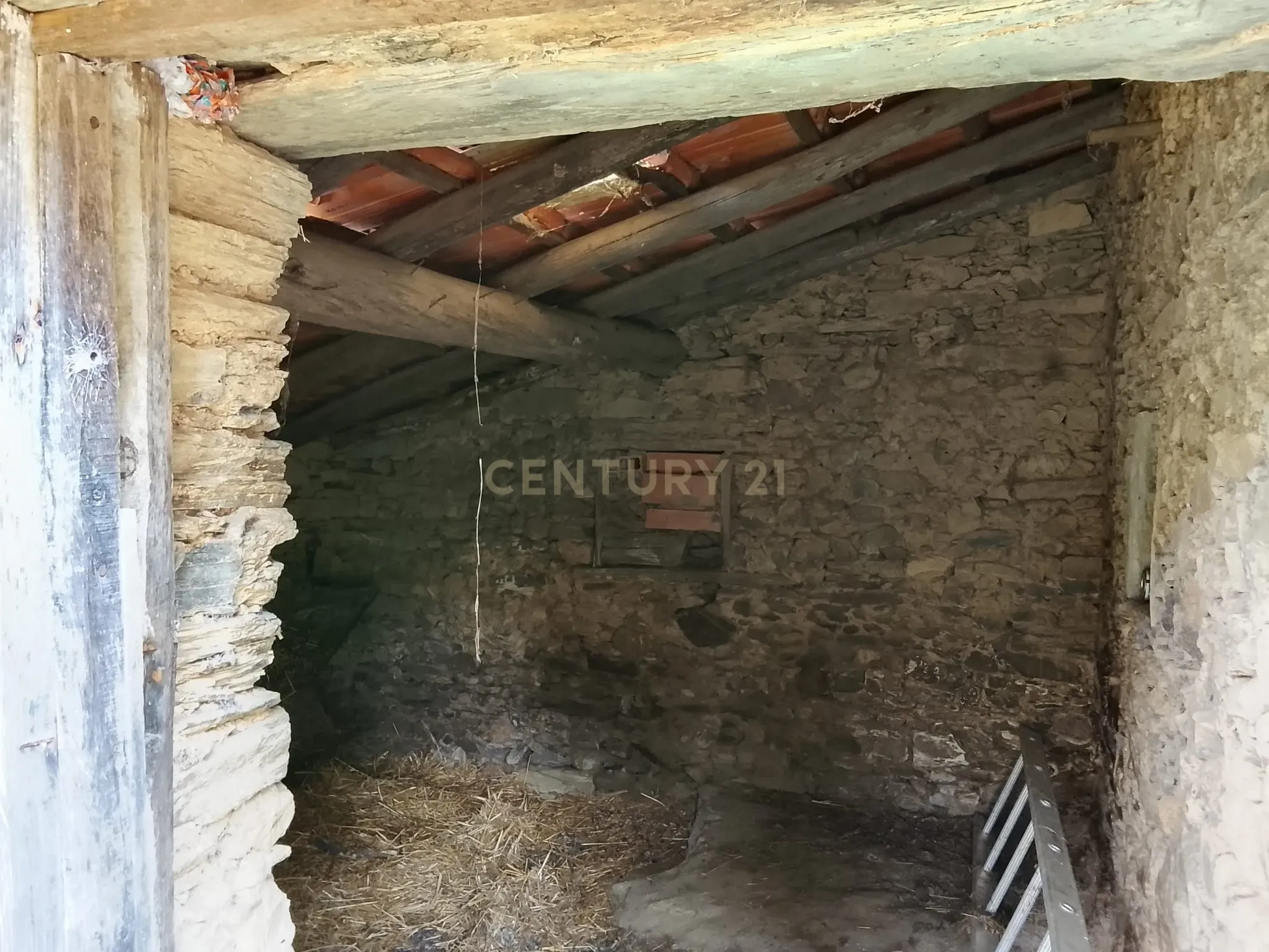 Fotografia 10 de Oportunidade! Quintinha, Cebolais de Cima - Castelo Branco