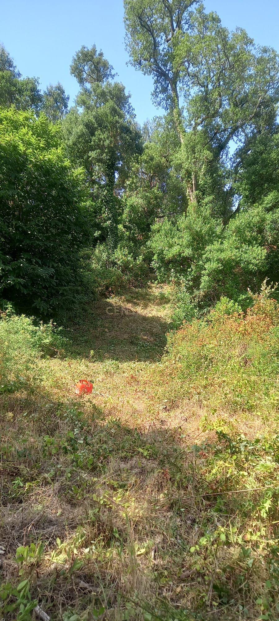 Fotografia 5 de Terreno entre Caldas da Rainha e Benedita e próximo da freguesia de Santa Catarina