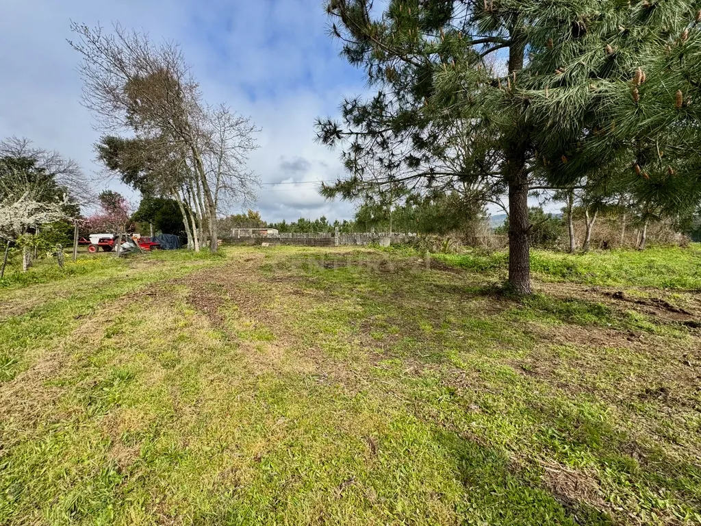 Terreno com 3600m2 - 🍇 Onde o Coração do Alvarinho Encontra a Serenidade do Rio Minho! - Image 14