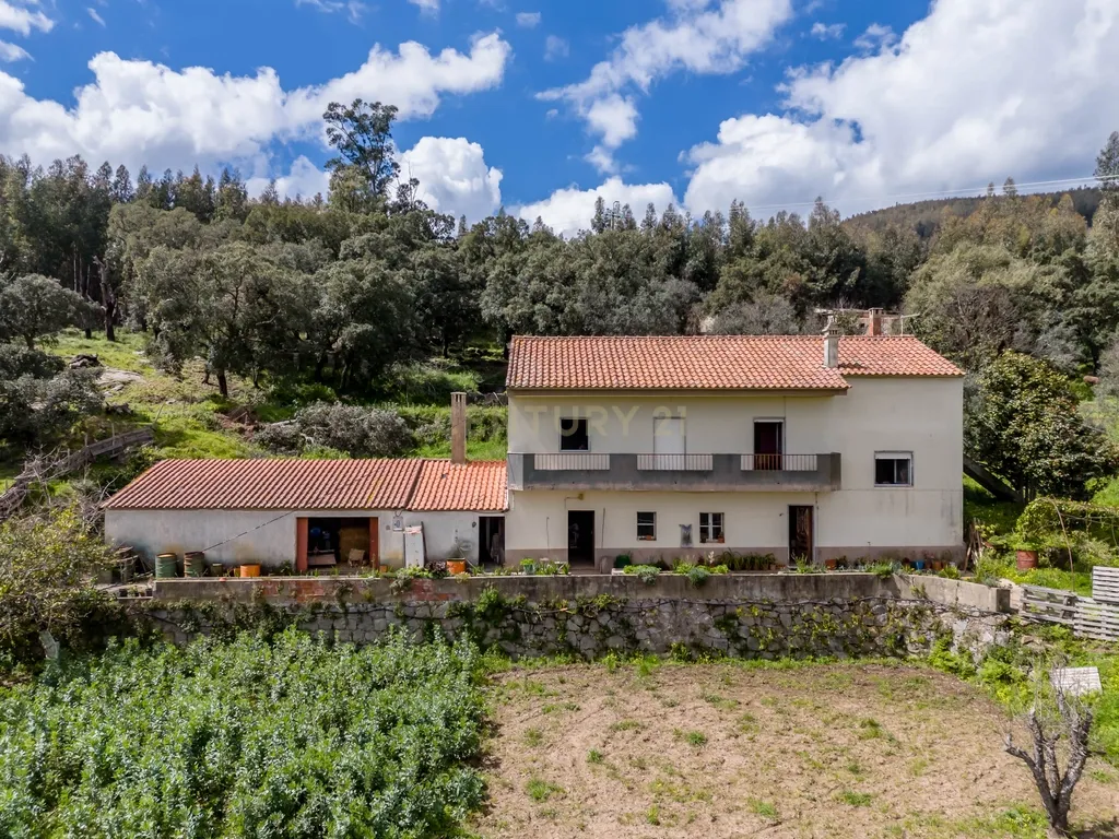 QUINTA COM 2,5 HECTARES EM ZONA CENTRAL DE MONCHIQUE - Image 6