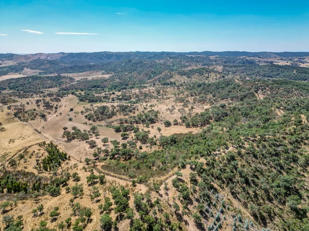 Herdade com 59,225 ha , 687m2 urbano, nascente de água, em Colos, Odemira - Image 9