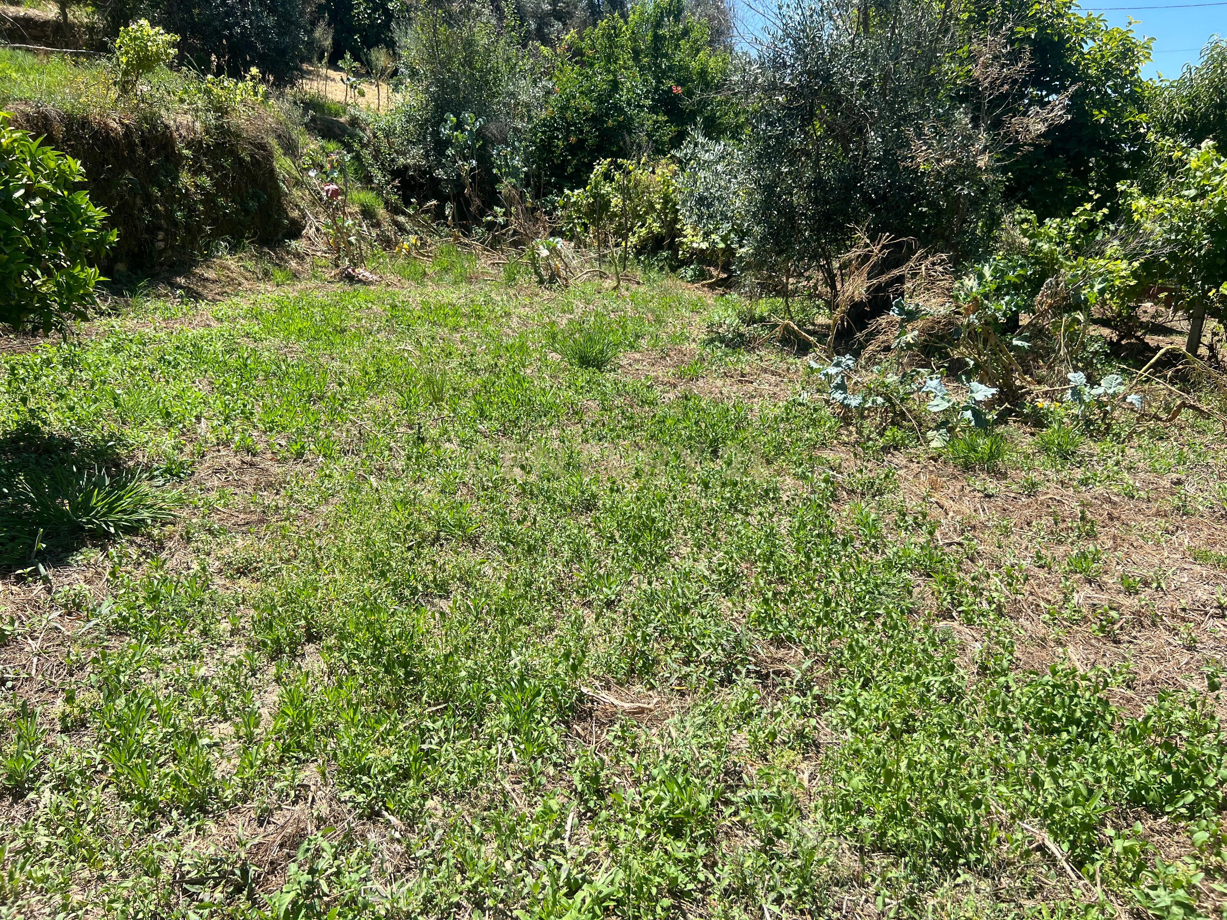 Casa para reconstrução total a 10 min da Praia Fluvial de Aldeia do Mato Abrantes - Image 17