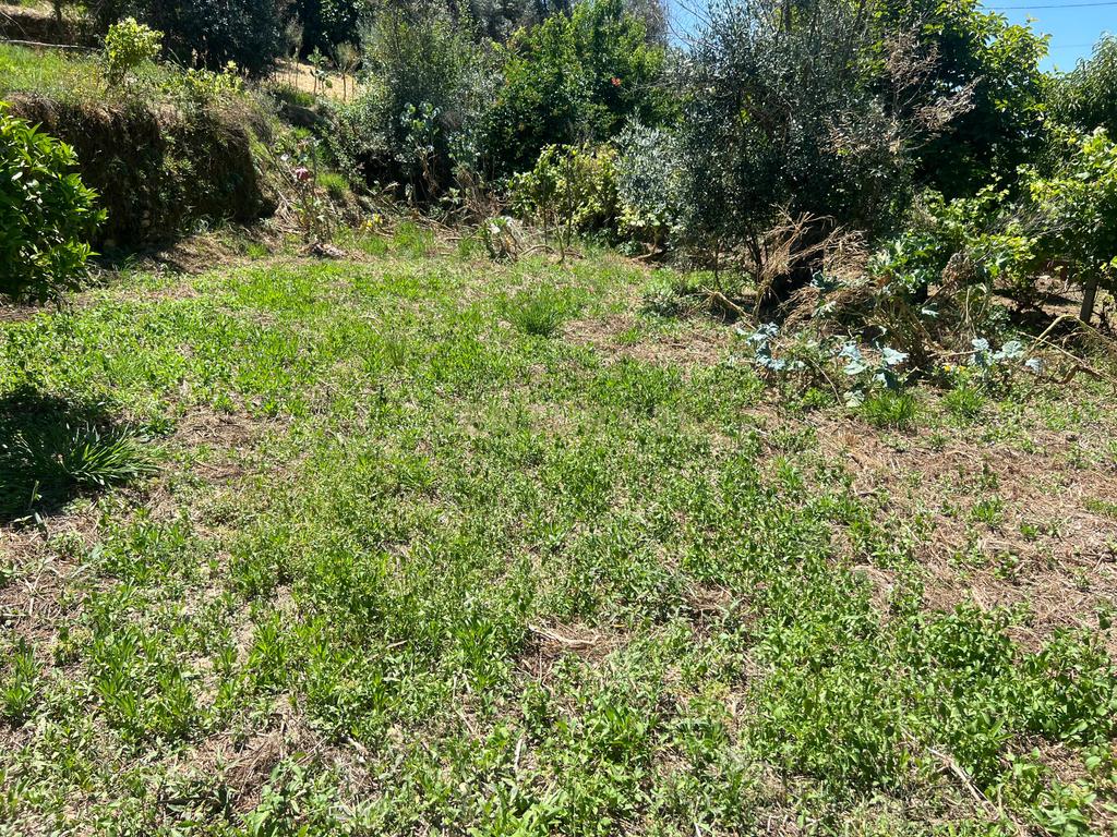 Casa para reconstrução total a 10 min da Praia Fluvial de Aldeia do Mato Abrantes - Image 17