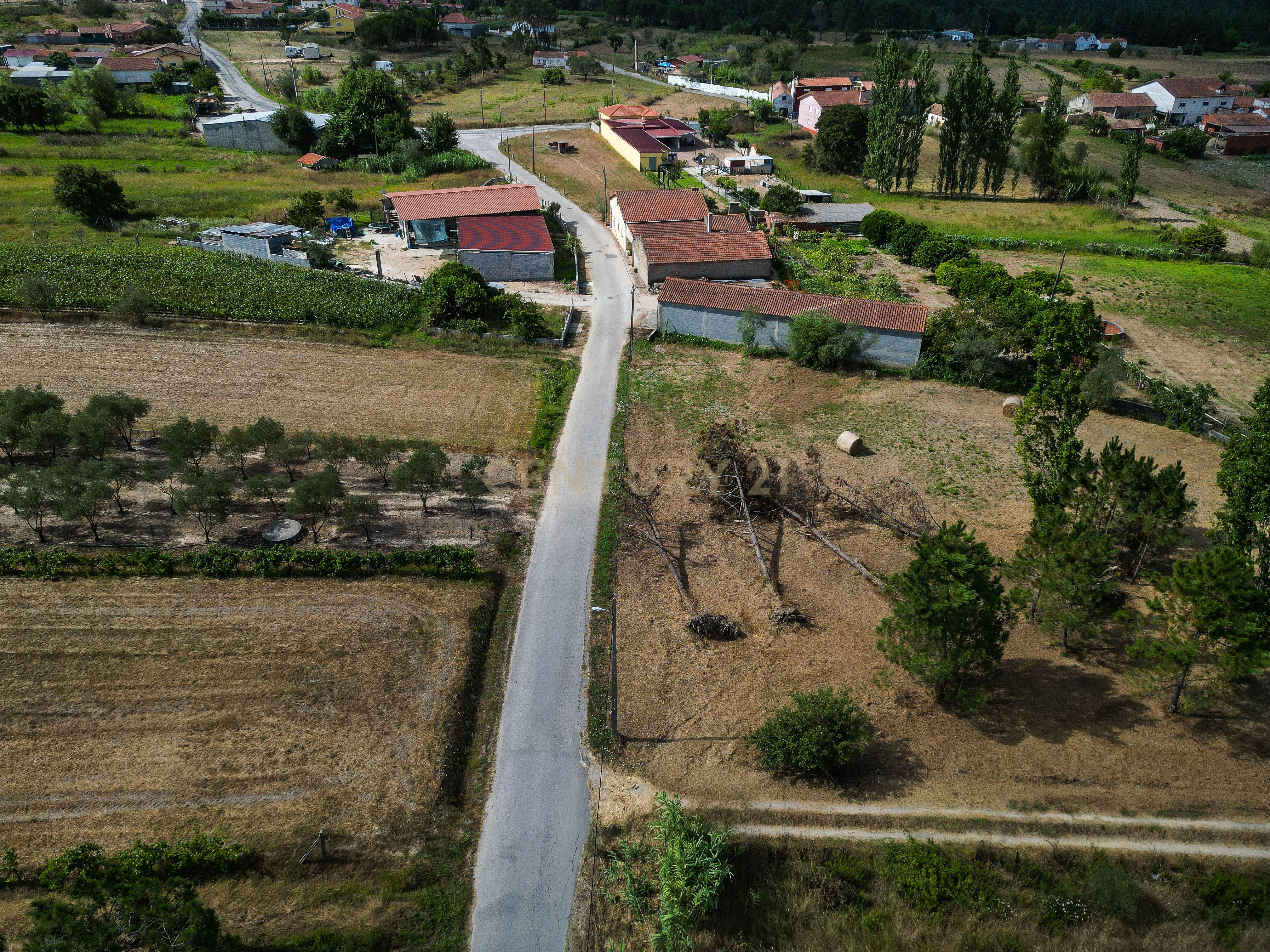 Fotografia 10 de Terreno de cultivo com poço em Cabeça Alta – Seixo de Gatões, Montemor-o-Velho