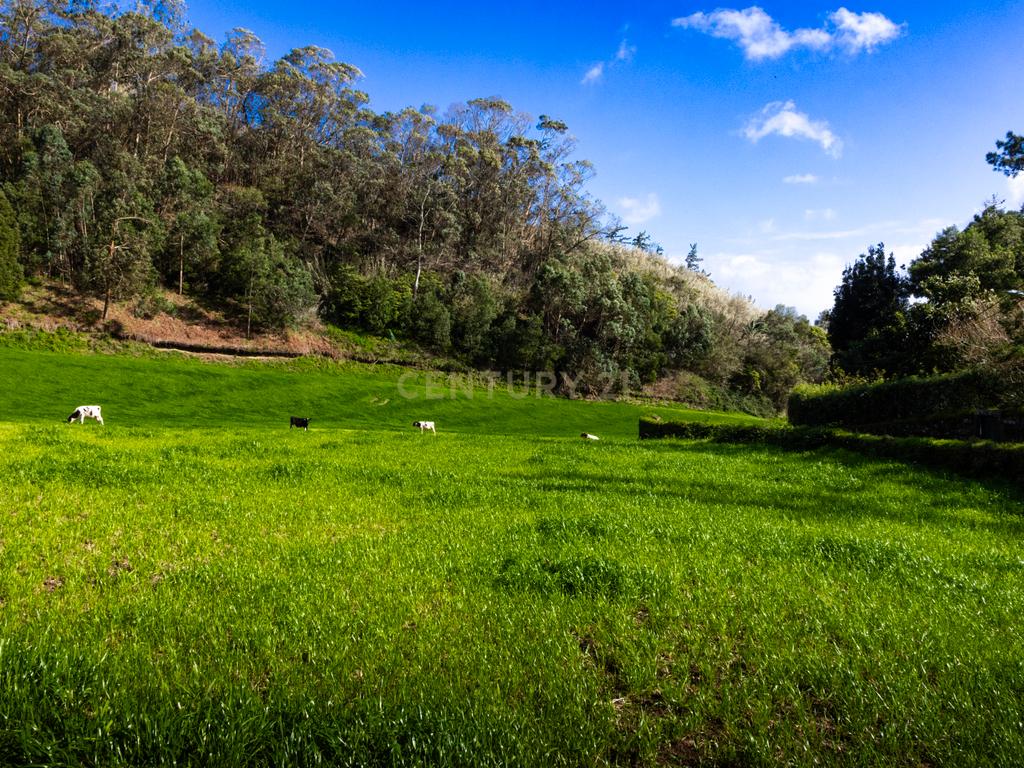 Terreno urbano para construção na Caloura, Lagoa - Vista Mar - Image 29