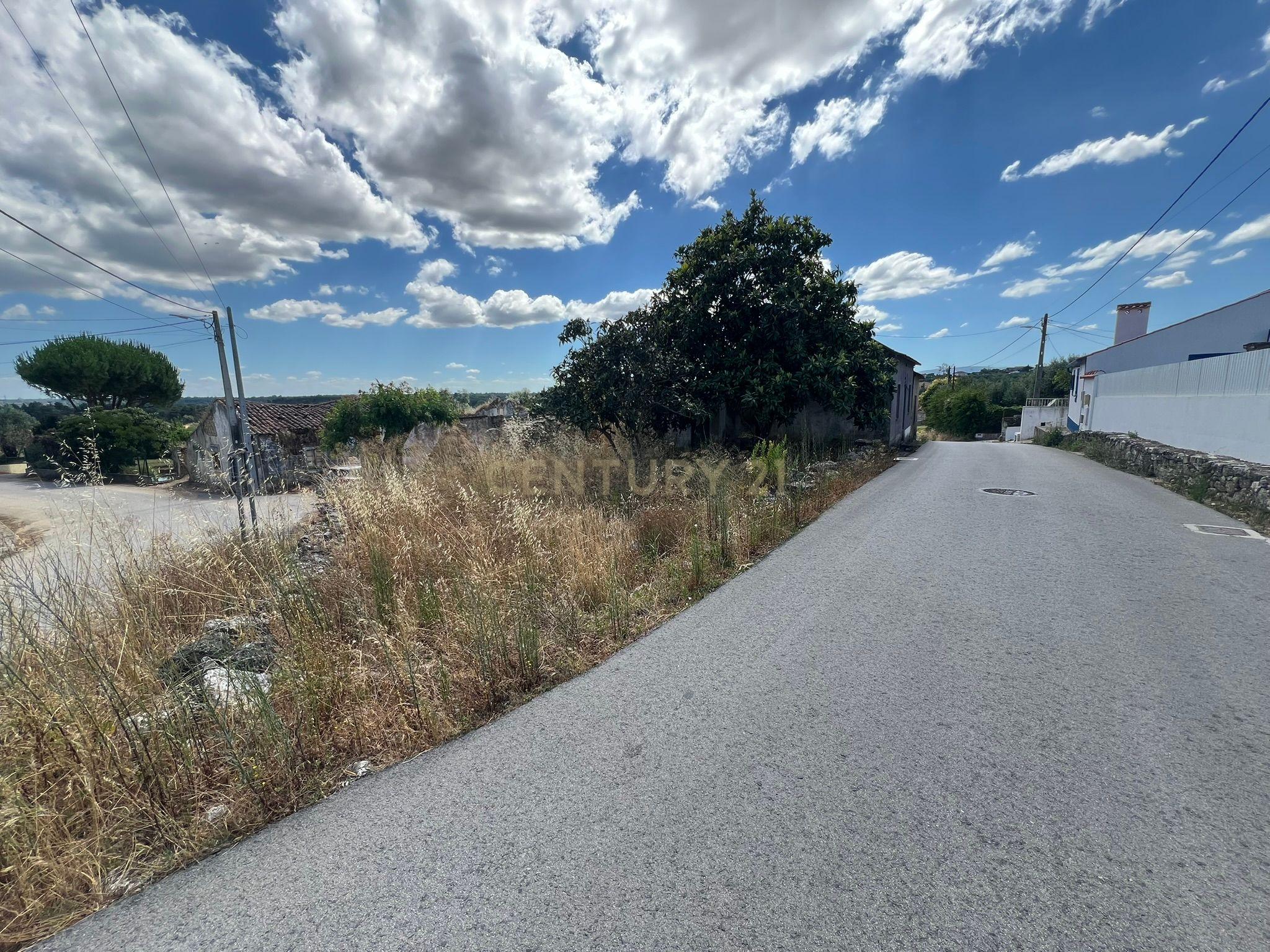 Fotografia 6 de Ruina com terreno em Tomar, União das freguesias de Madalena e Beselga